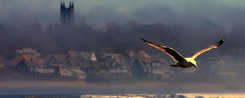 因 海市蜃楼的形成原因是什么瓦力娱乐棋牌